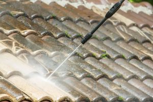 Roof cleaning